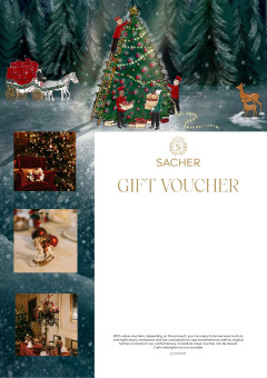 Voucher template 20